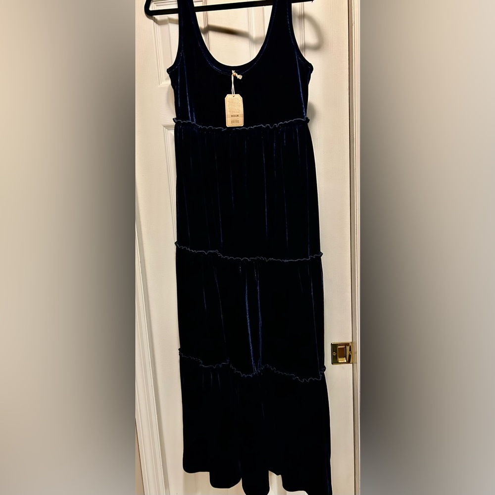 Natural Life Blue Velvet Dress